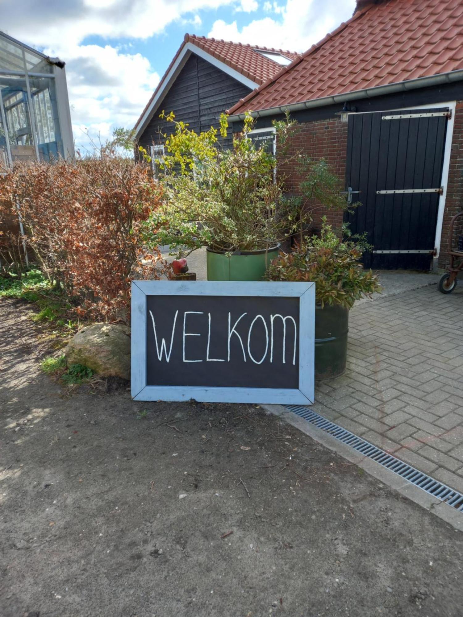 B&B Aan De Fjildwei Rinsumageest Kültér fotó