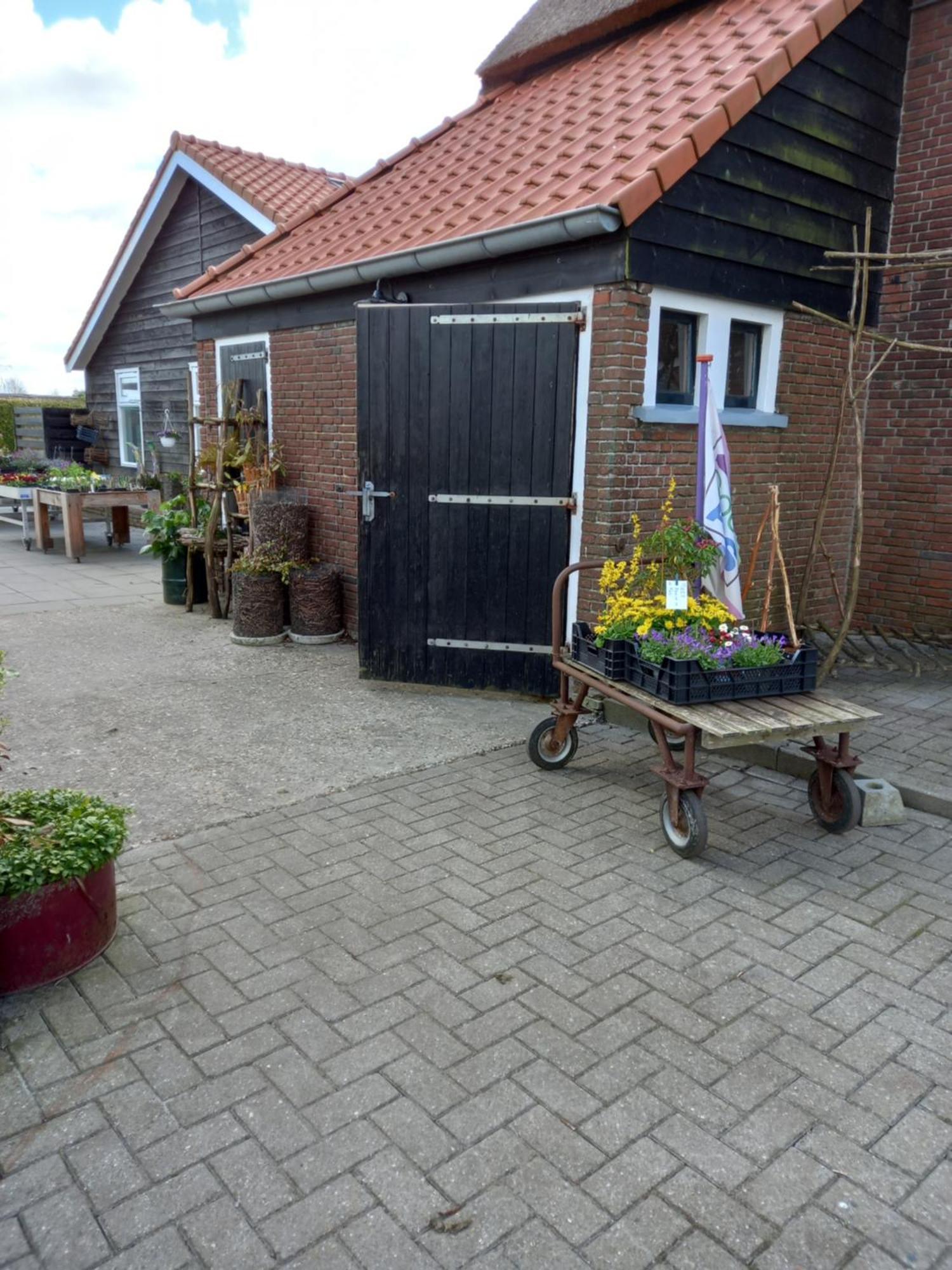 B&B Aan De Fjildwei Rinsumageest Kültér fotó
