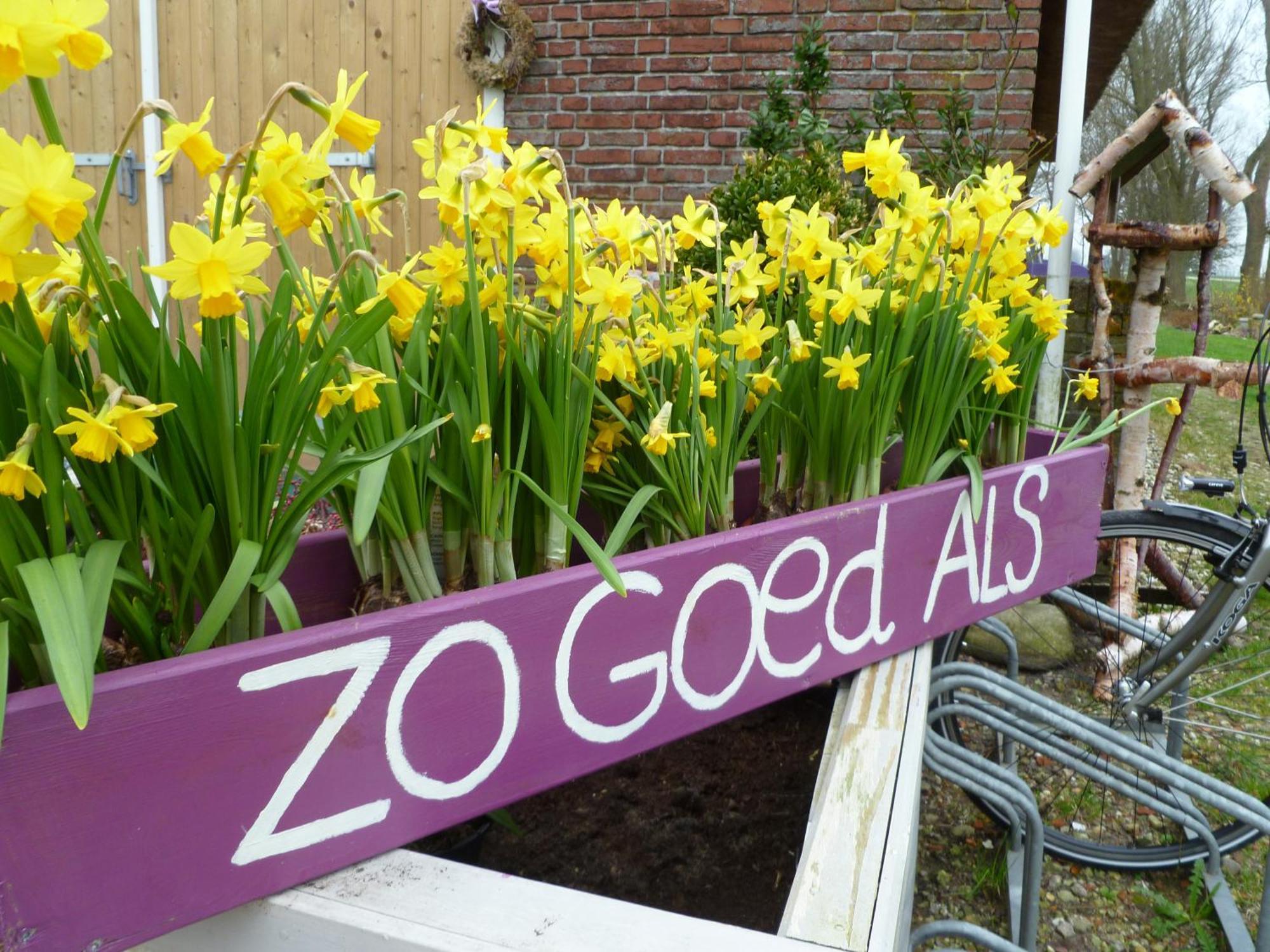 B&B Aan De Fjildwei Rinsumageest Kültér fotó